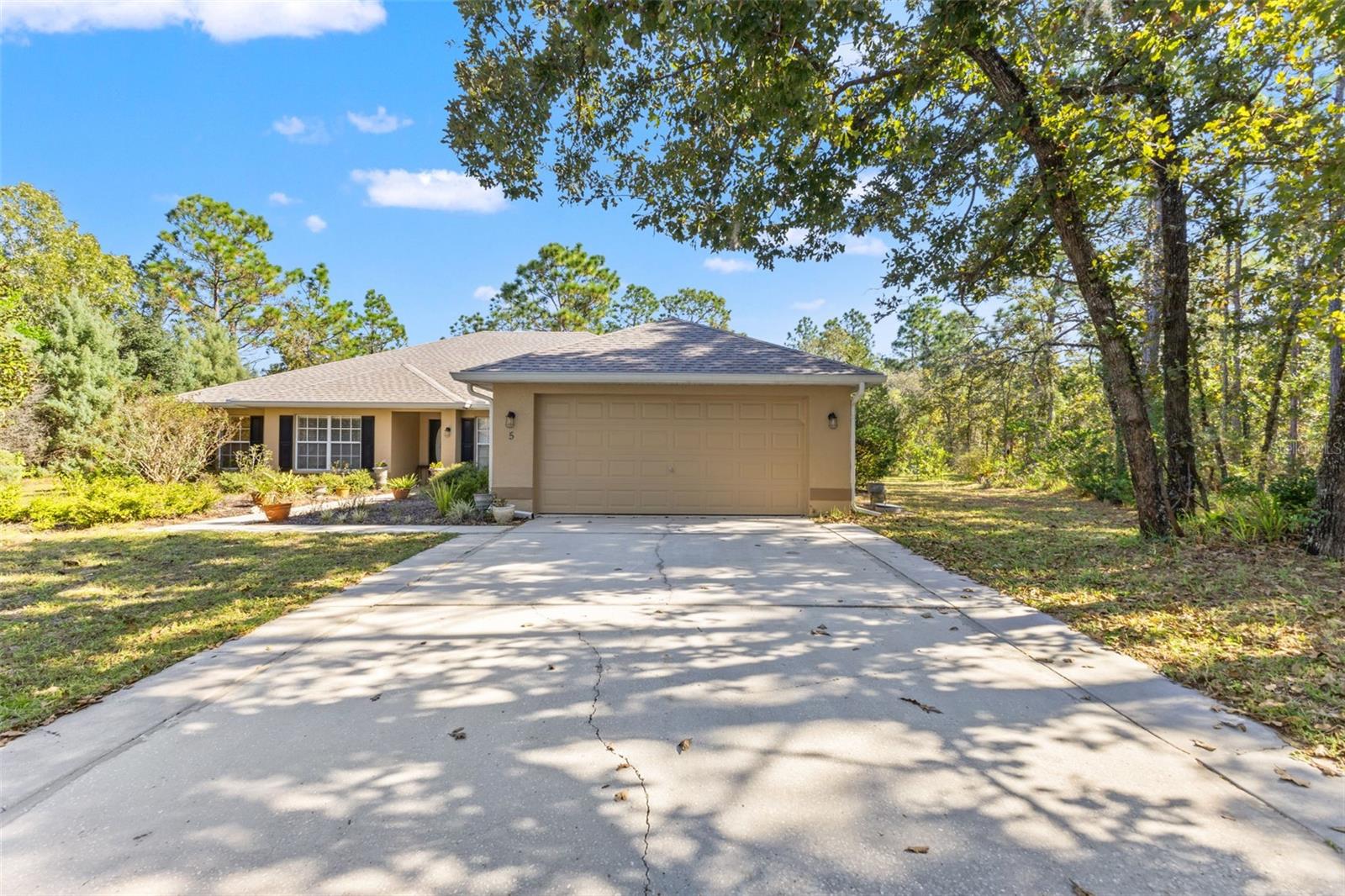 5 Boxleaf, FL