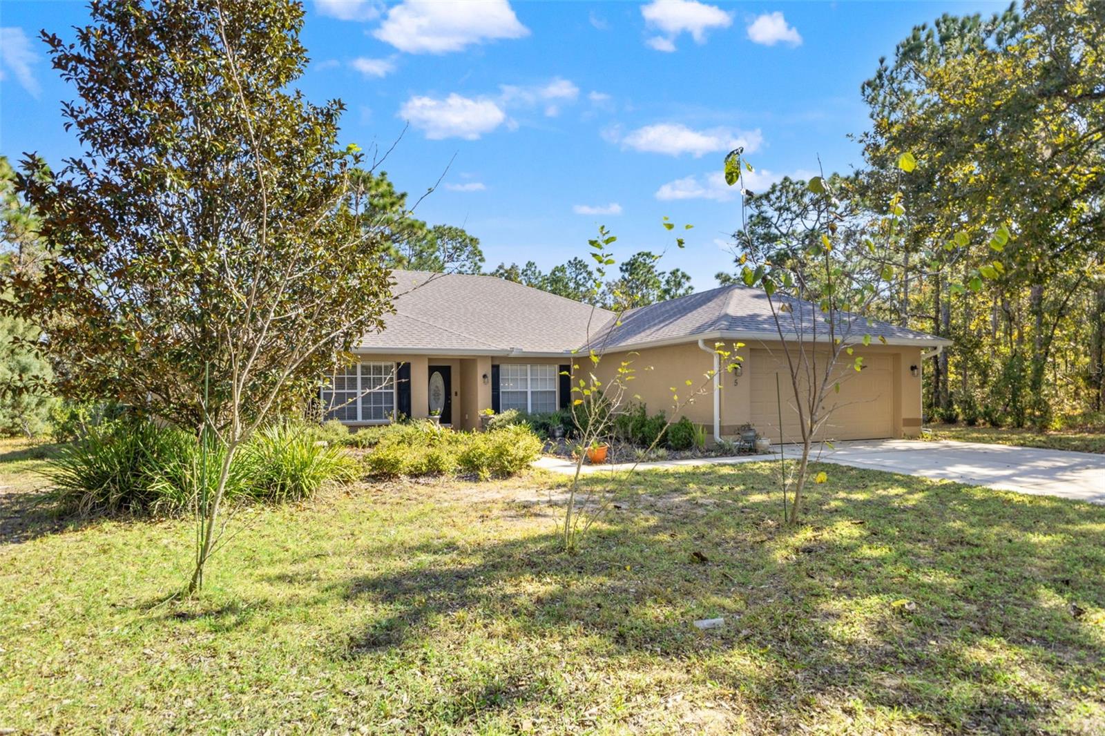 5 Boxleaf, FL