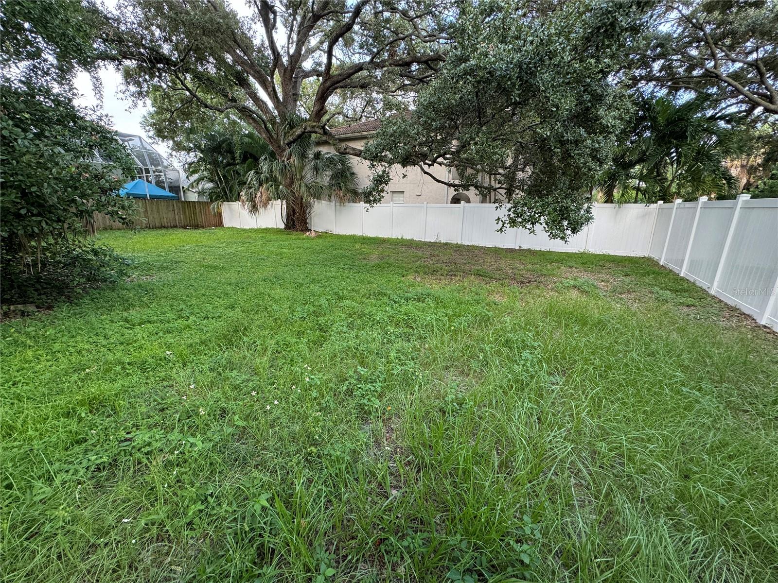 3115 San Pedro Street, FL