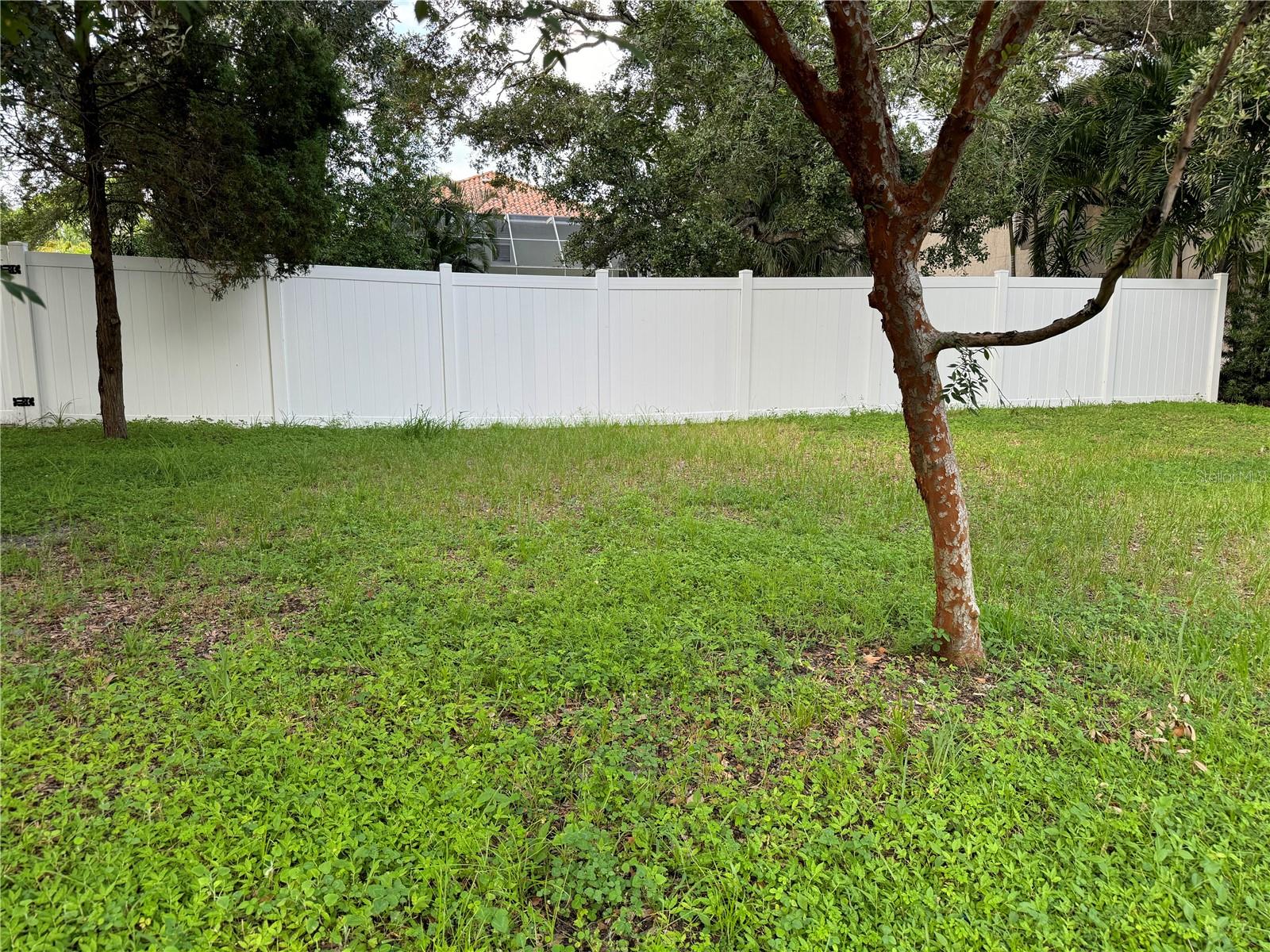 3115 San Pedro Street, FL