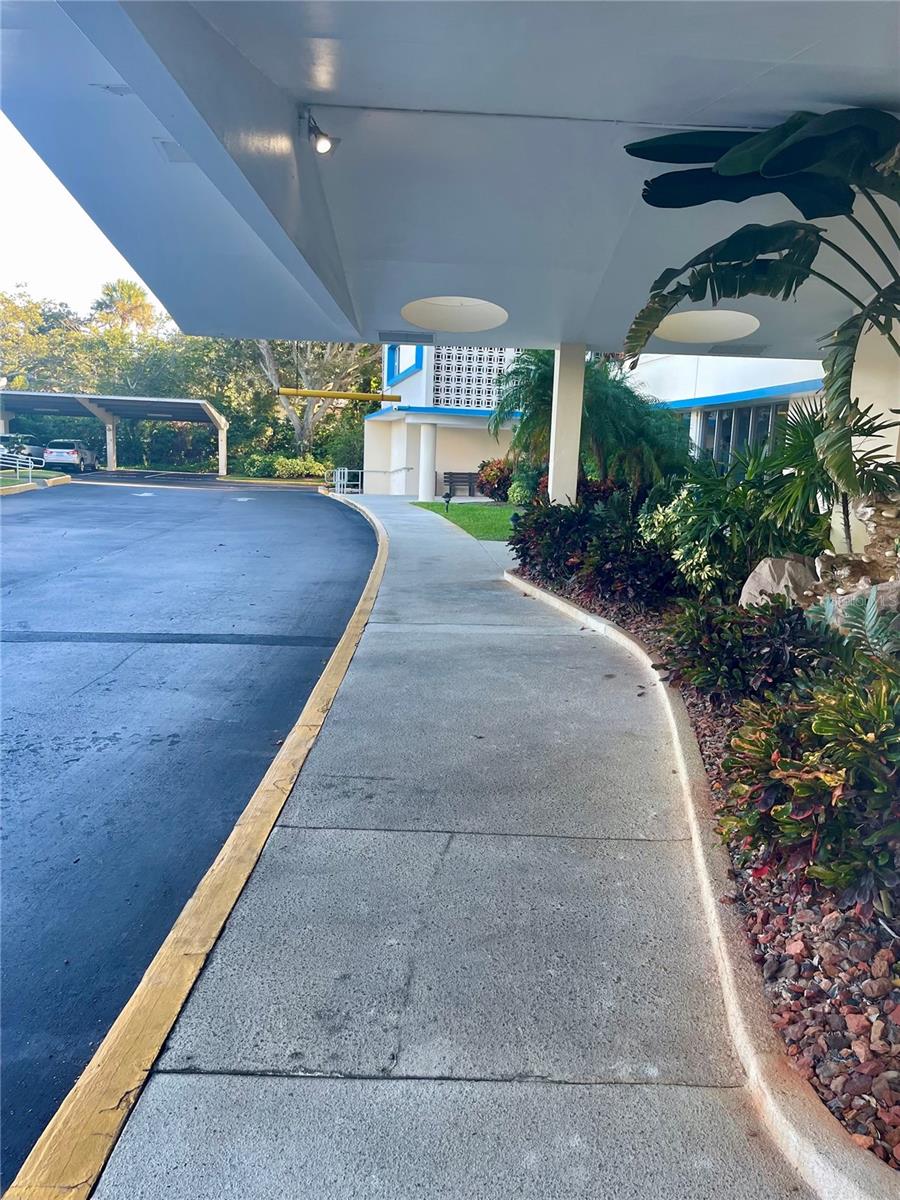 1224 Peninsula Drive, FL