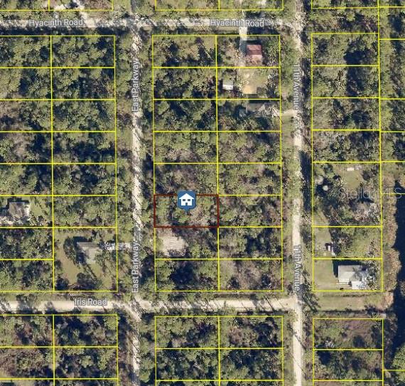 1535 East Parkway, FL