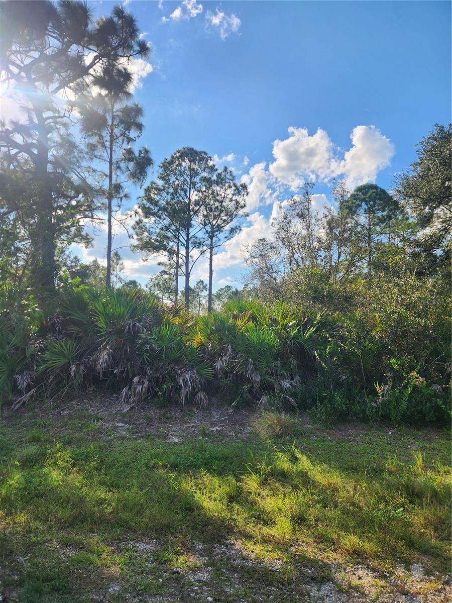 5101 San Juan Drive, FL