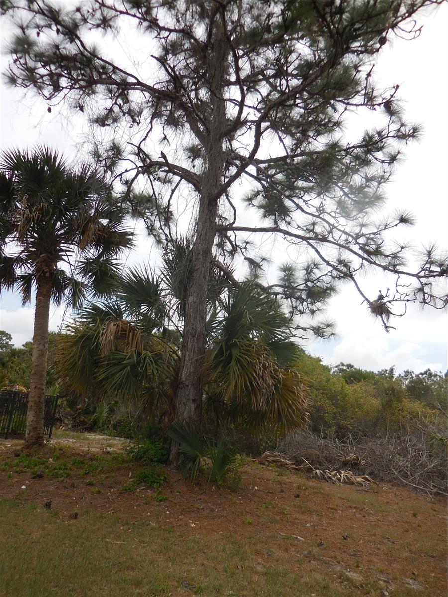 223 Jennifer Drive, FL