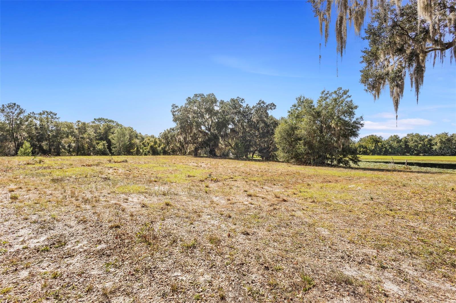 1499 Shady Meadow Lane, FL