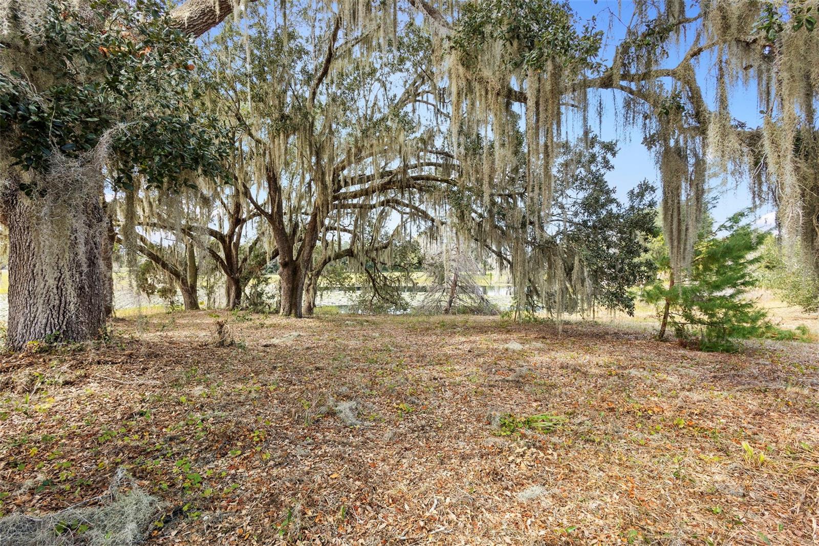 1499 Shady Meadow Lane, FL