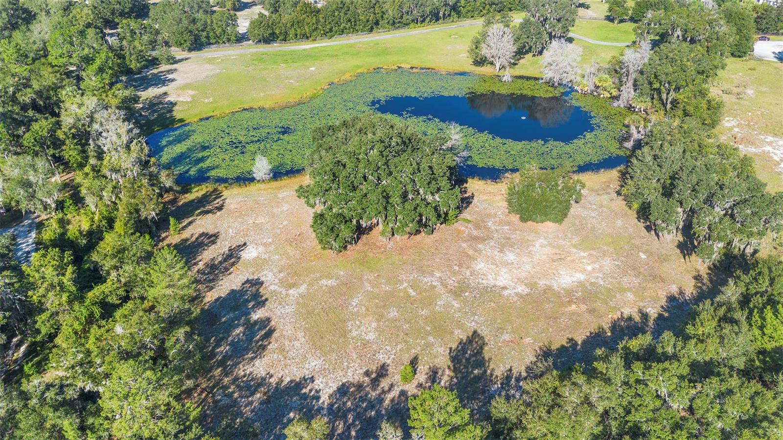 1499 Shady Meadow Lane, FL