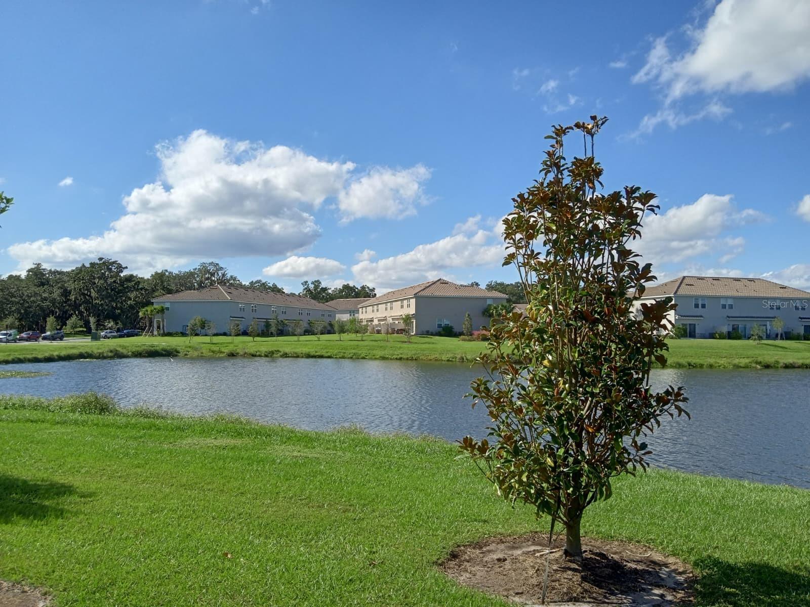 3604 Landing Net Drive, FL