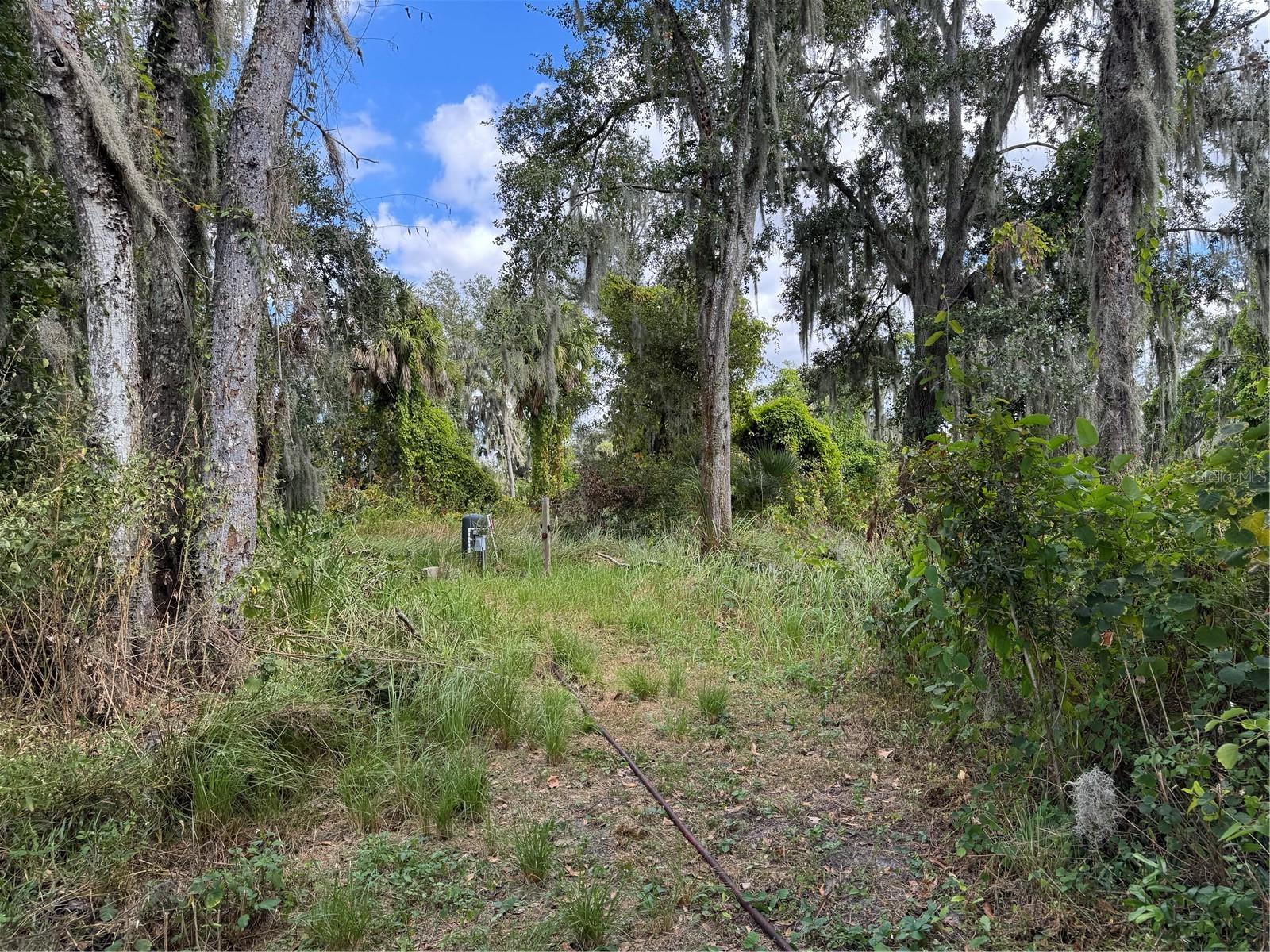 3721 Porter Road, FL