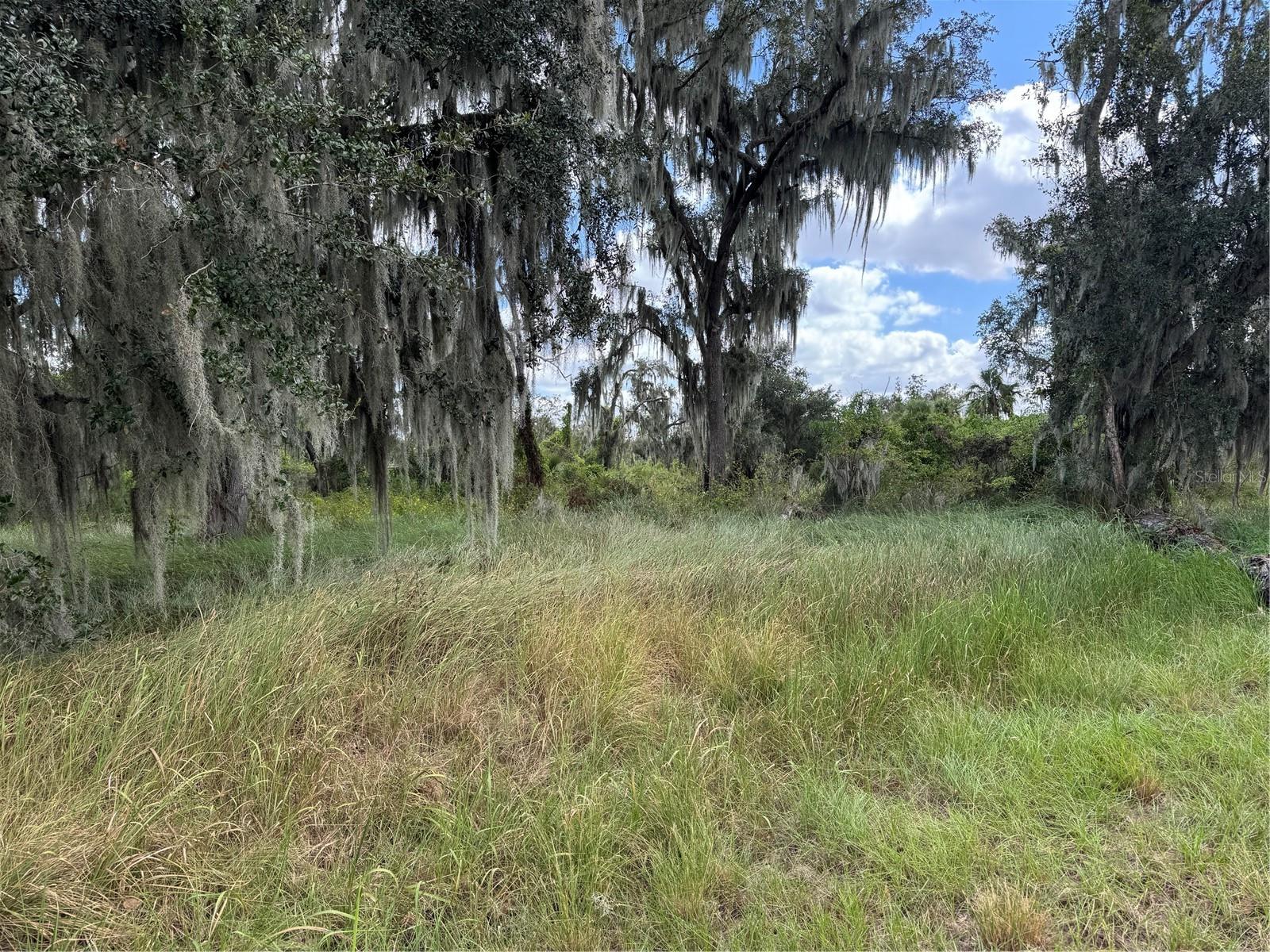 3721 Porter Road, FL