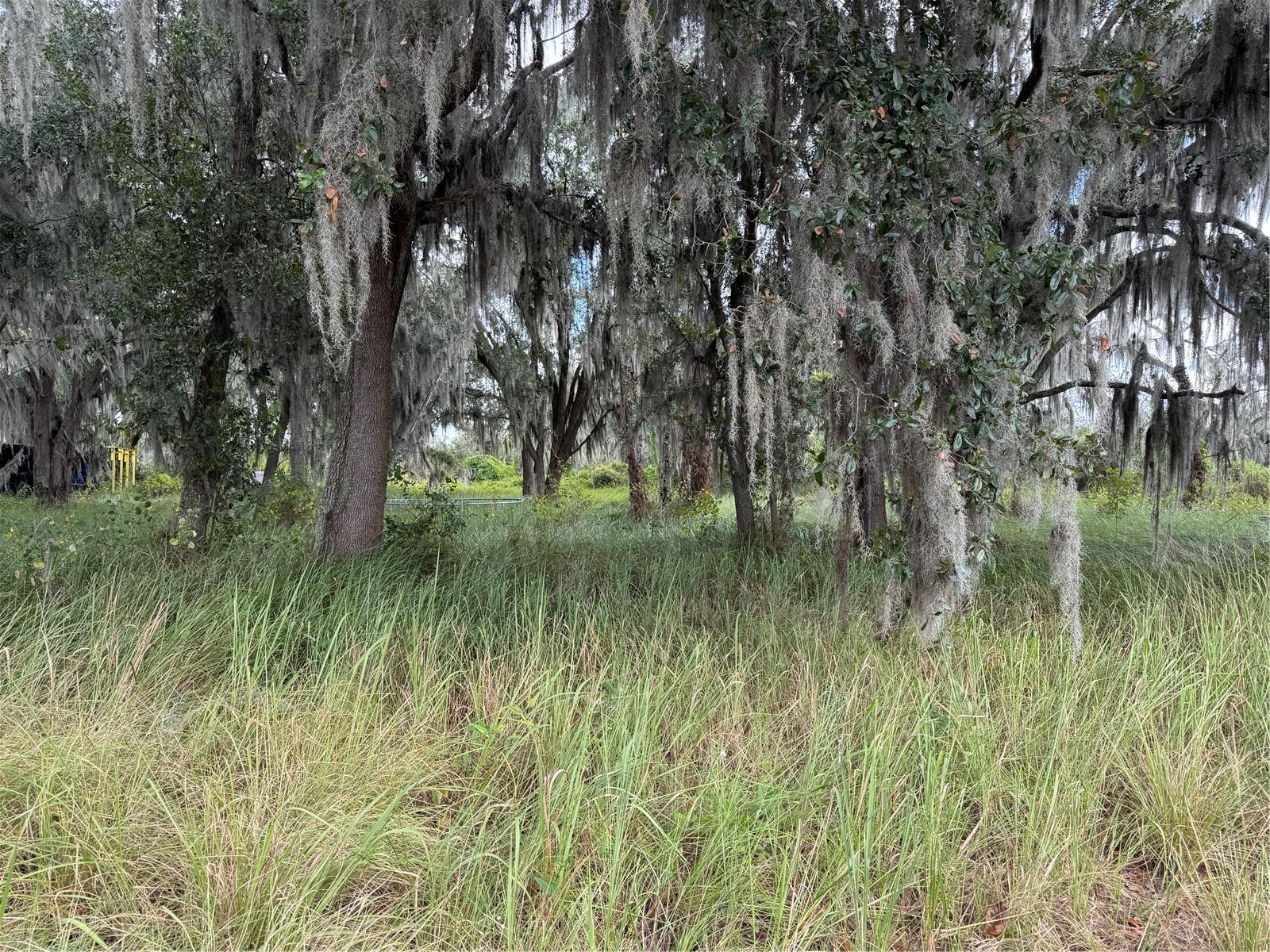 3721 Porter Road, FL