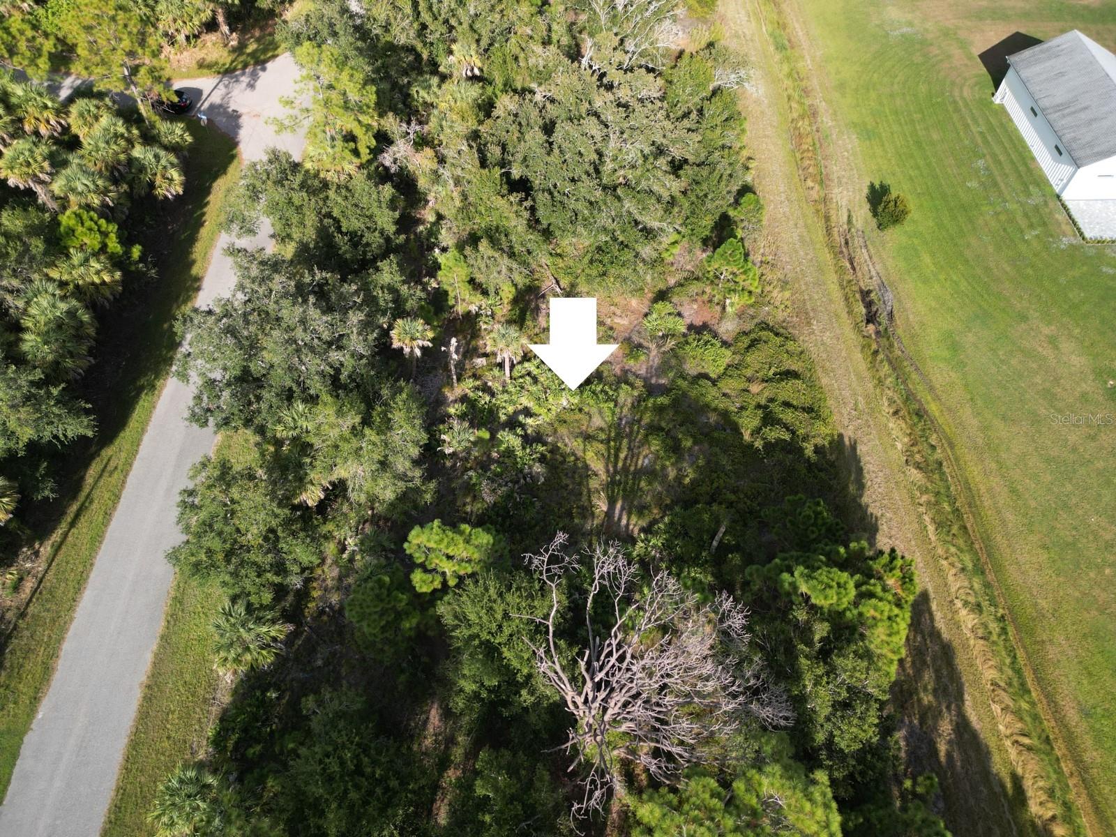 0 Celest Street, FL