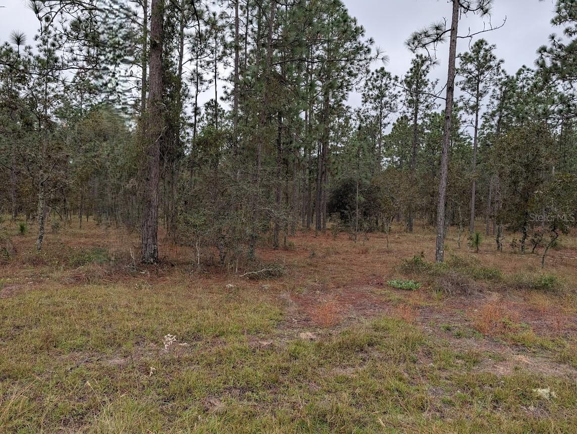 Lot 13 Geranium Avenue, FL