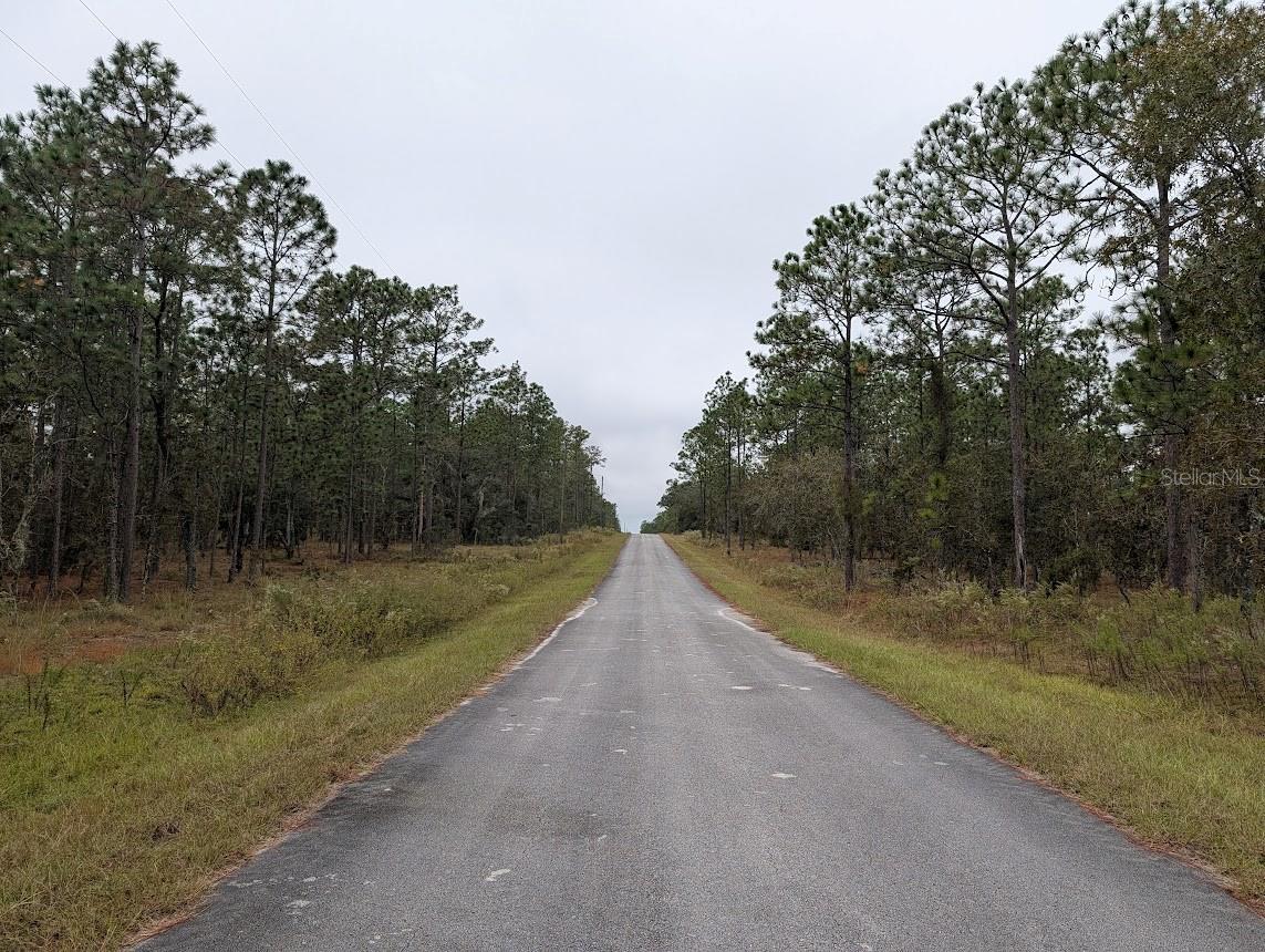 Lot 13 Geranium Avenue, FL