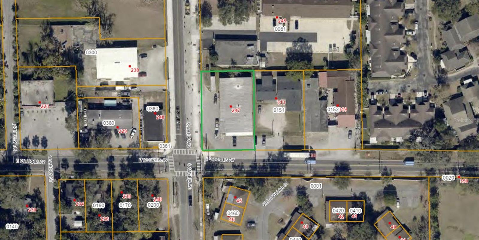 247 Amelia Avenue, FL