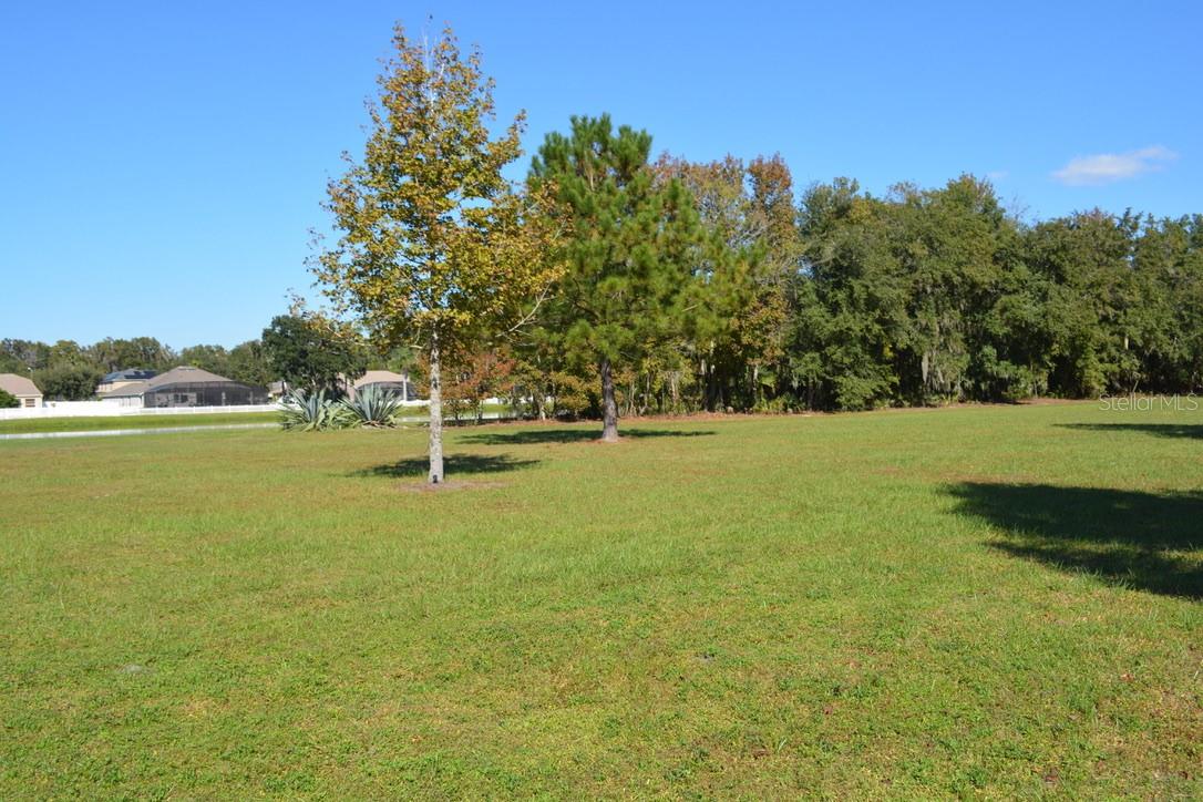 0 Hester Avenue Avenue, FL
