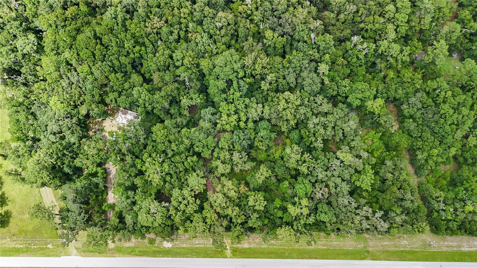 8124 County Road 346, FL