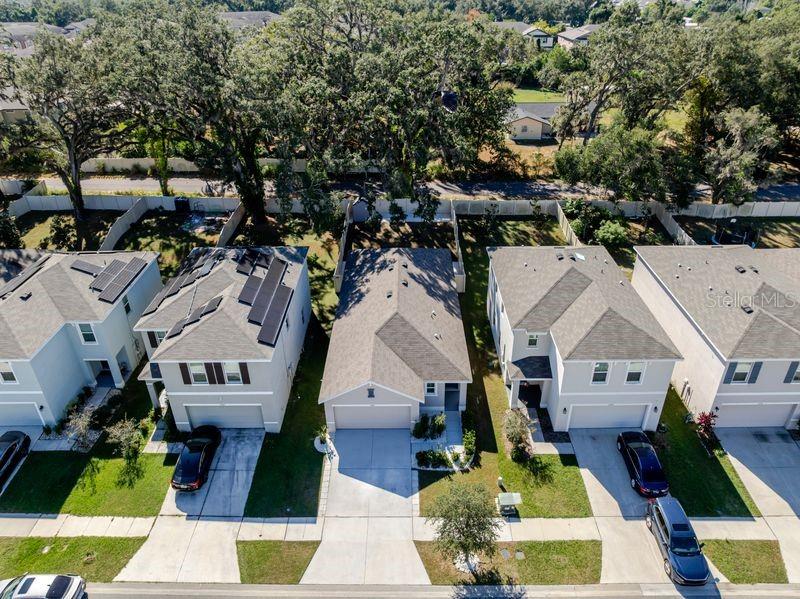 10945 Trailing Vine Drive, FL