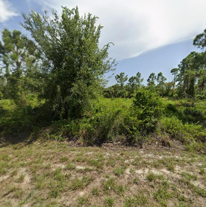 28033 Monte Cristo Boulevard, FL