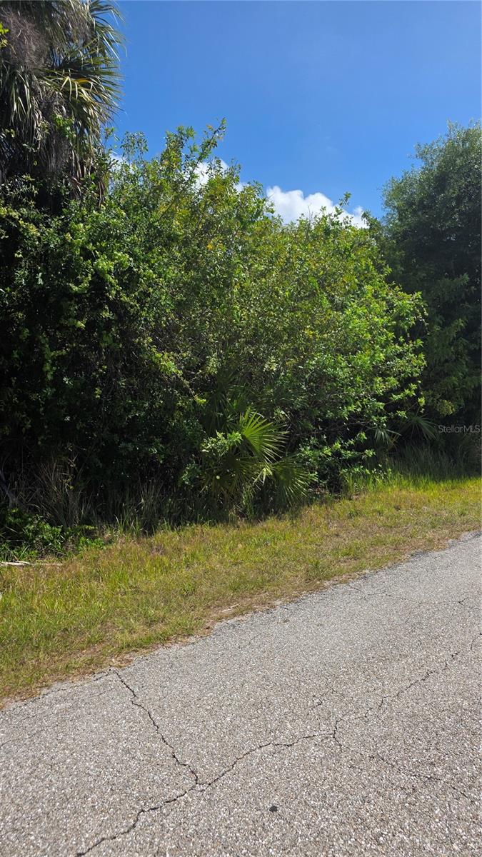 22344 Buffalo Avenue, FL