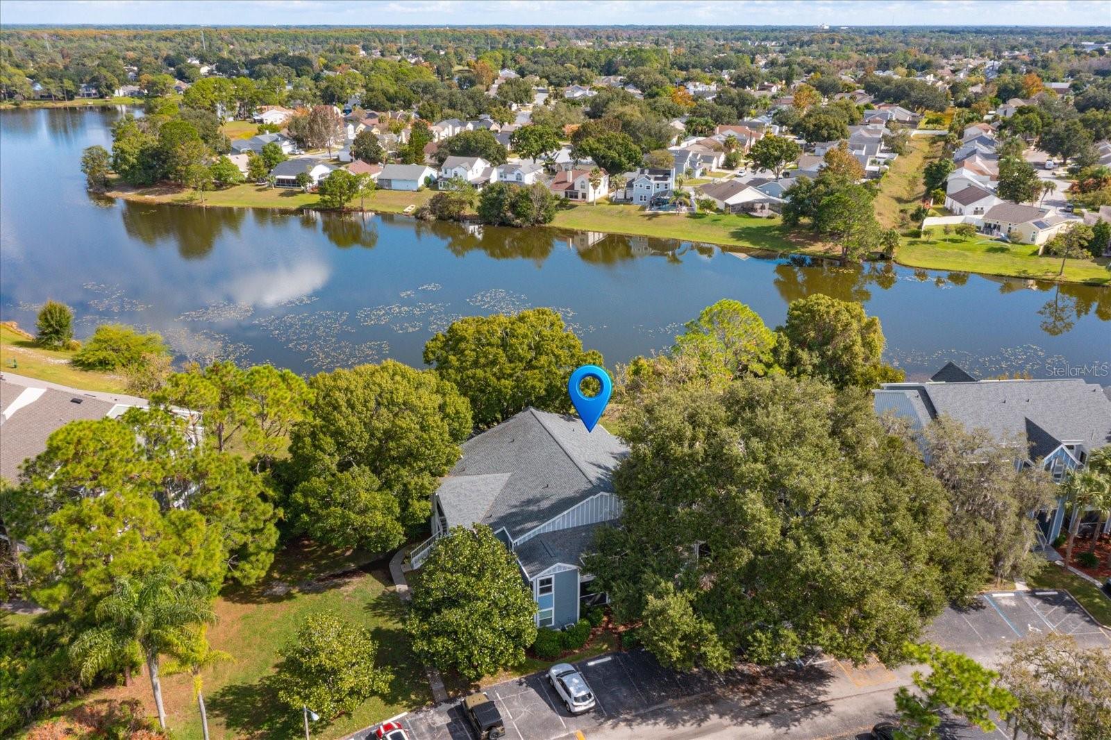 2577 Grassy Point Drive, FL