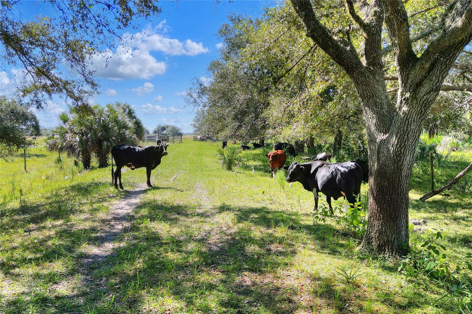 46891 Farabee Road, FL