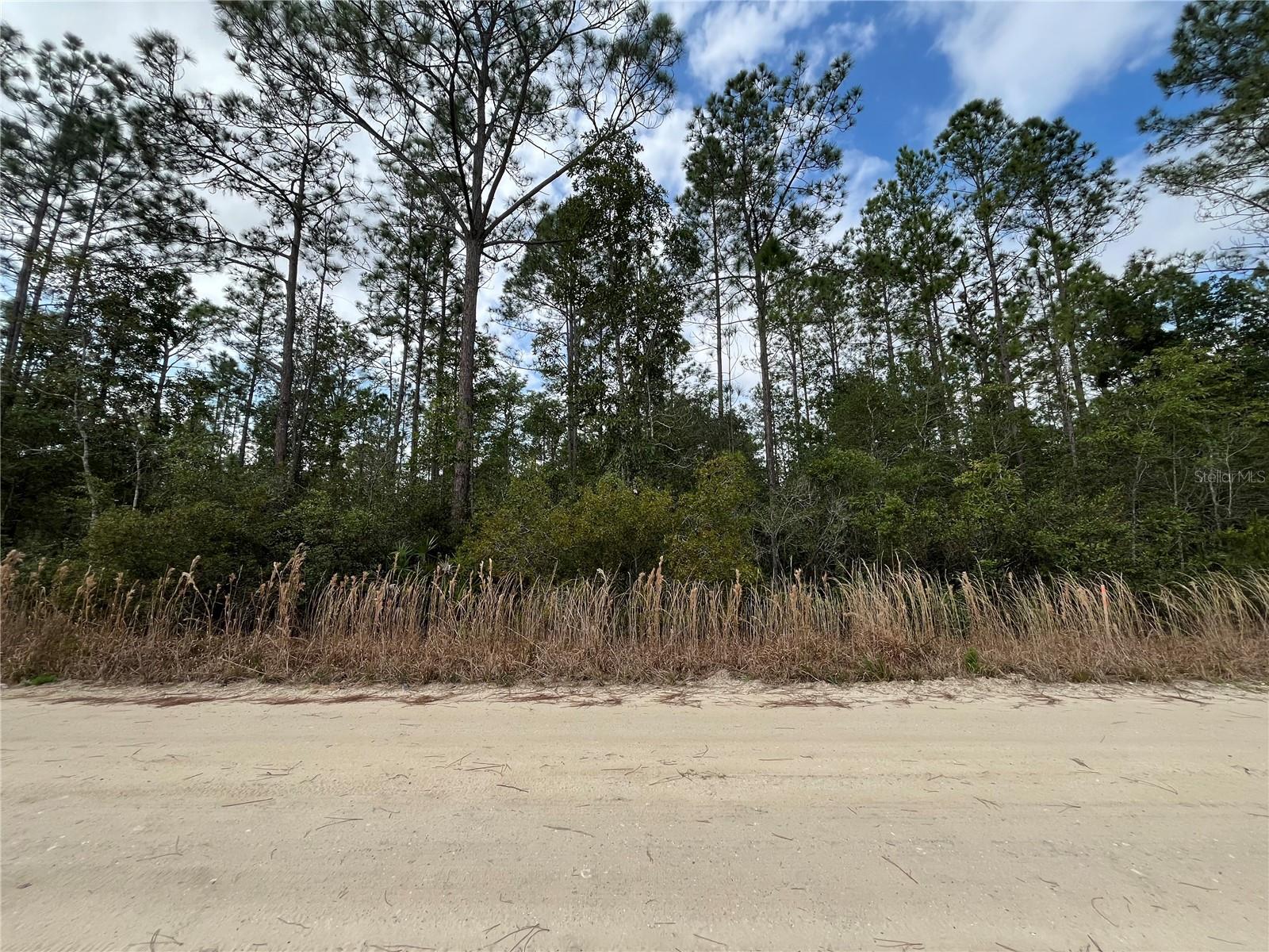 215 Royal Avenue, FL