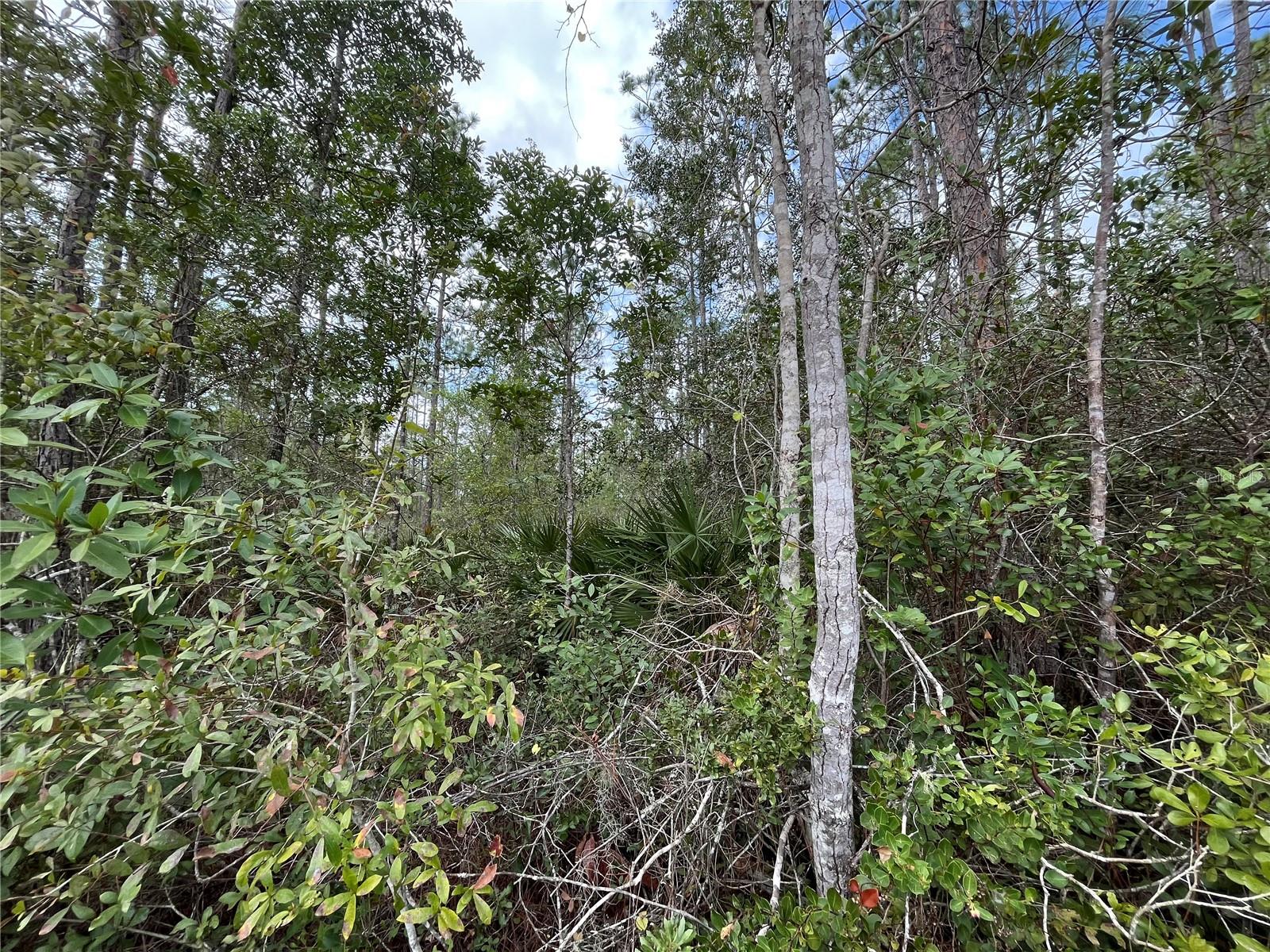 215 Royal Avenue, FL