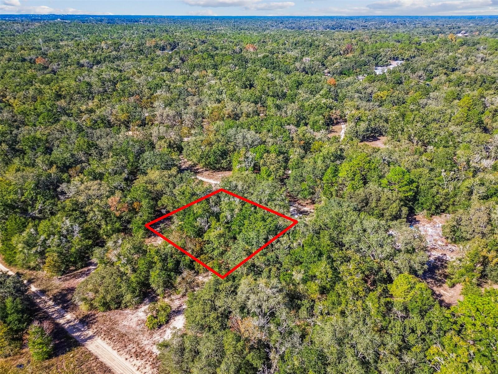 2903 Tyler Street, FL
