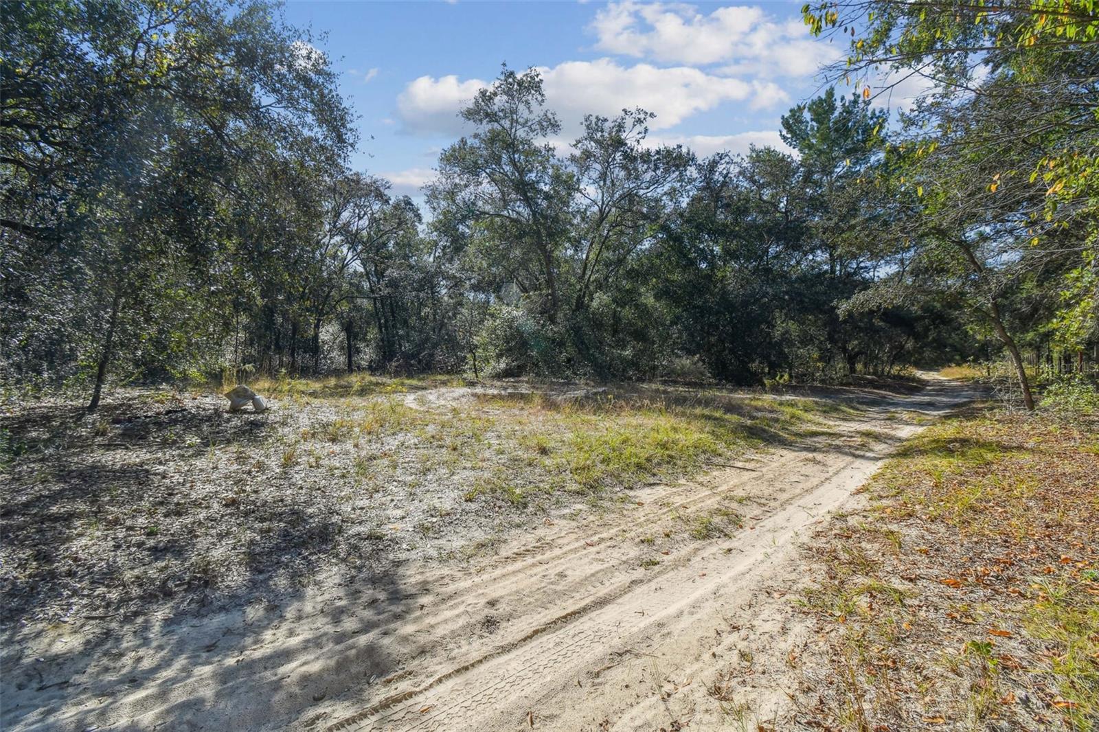 2903 Tyler Street, FL