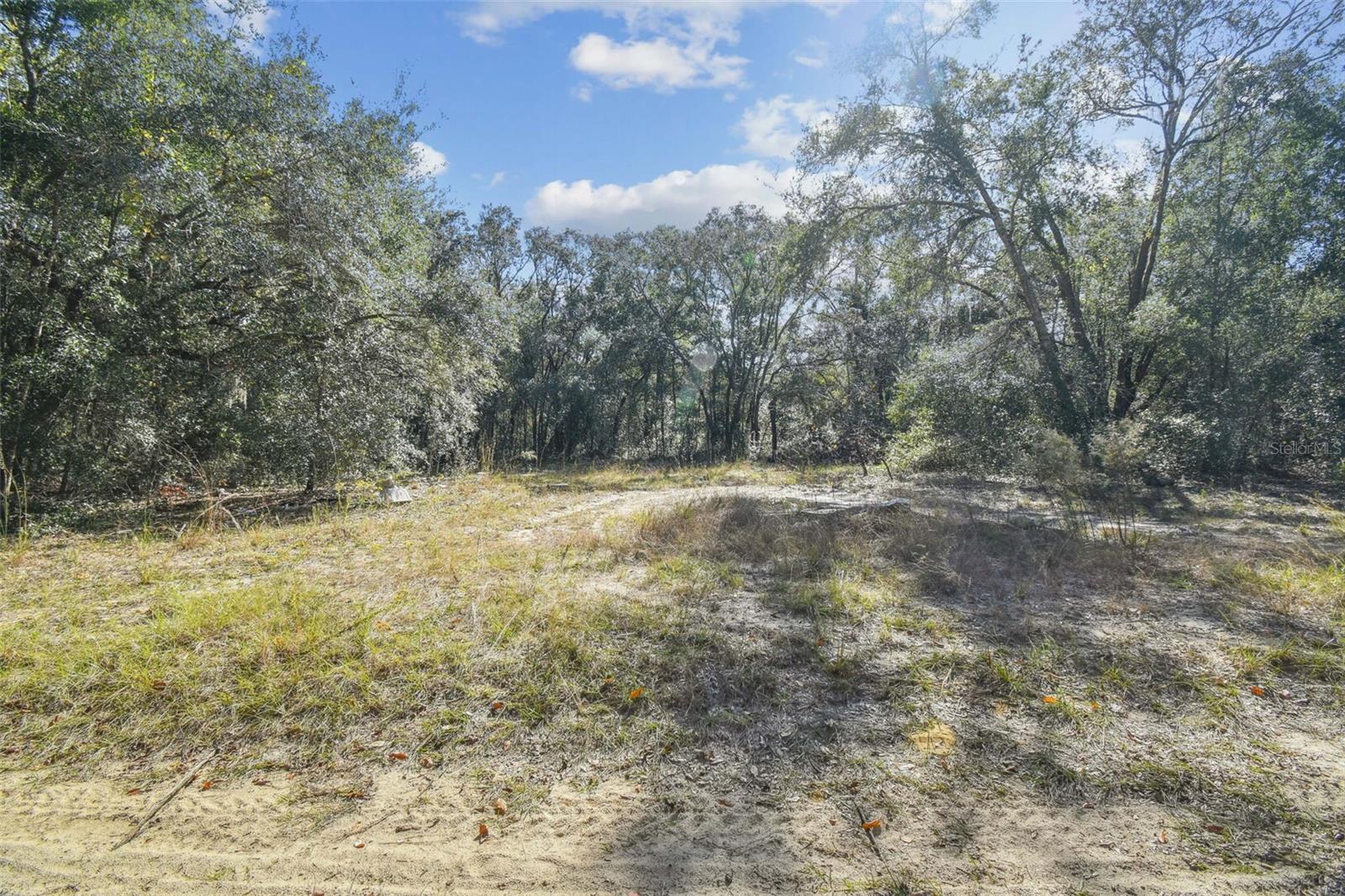 2903 Tyler Street, FL