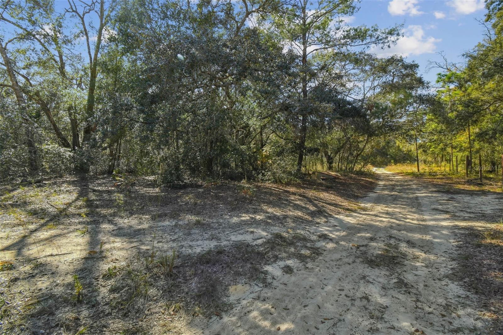 2903 Tyler Street, FL
