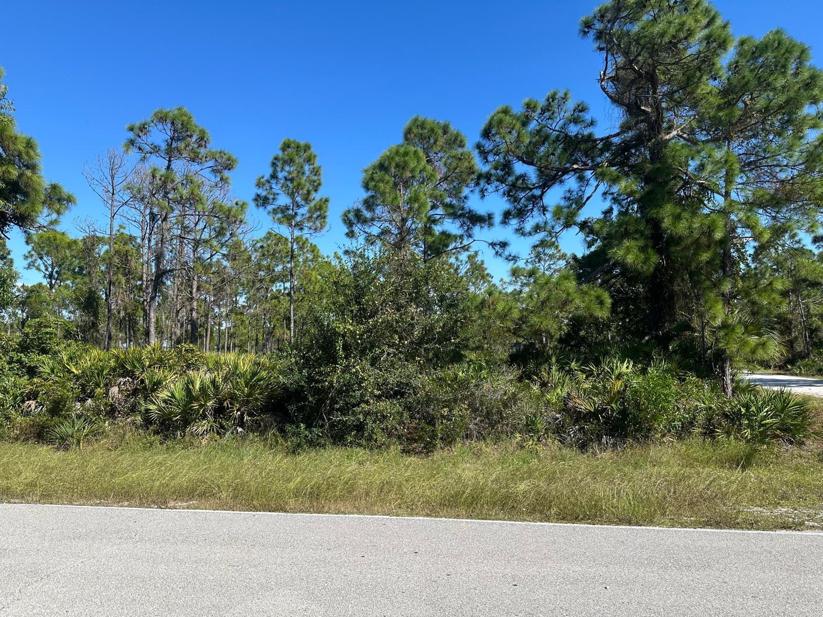 27028 Chamois Drive, FL