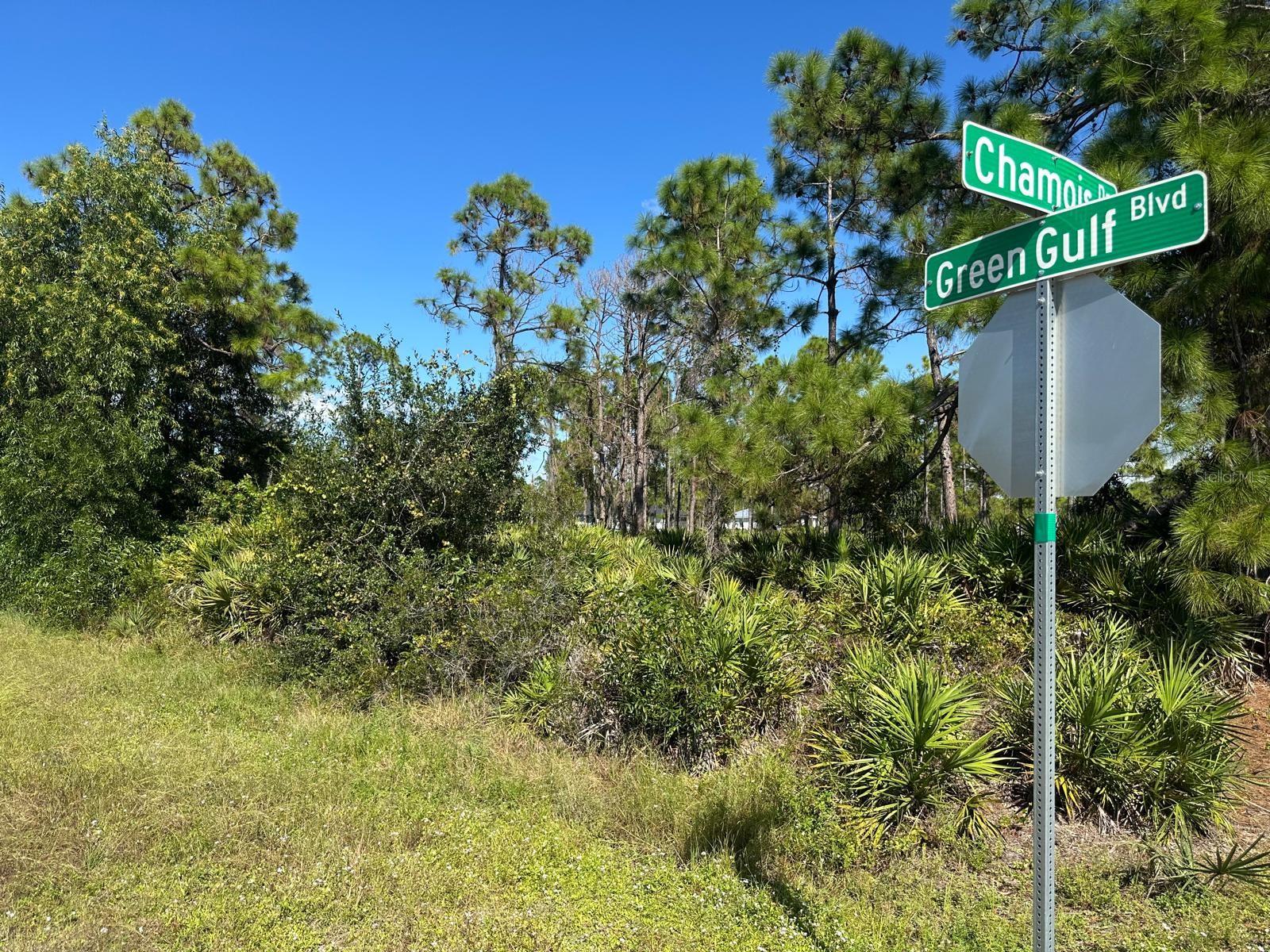 27028 Chamois Drive, FL