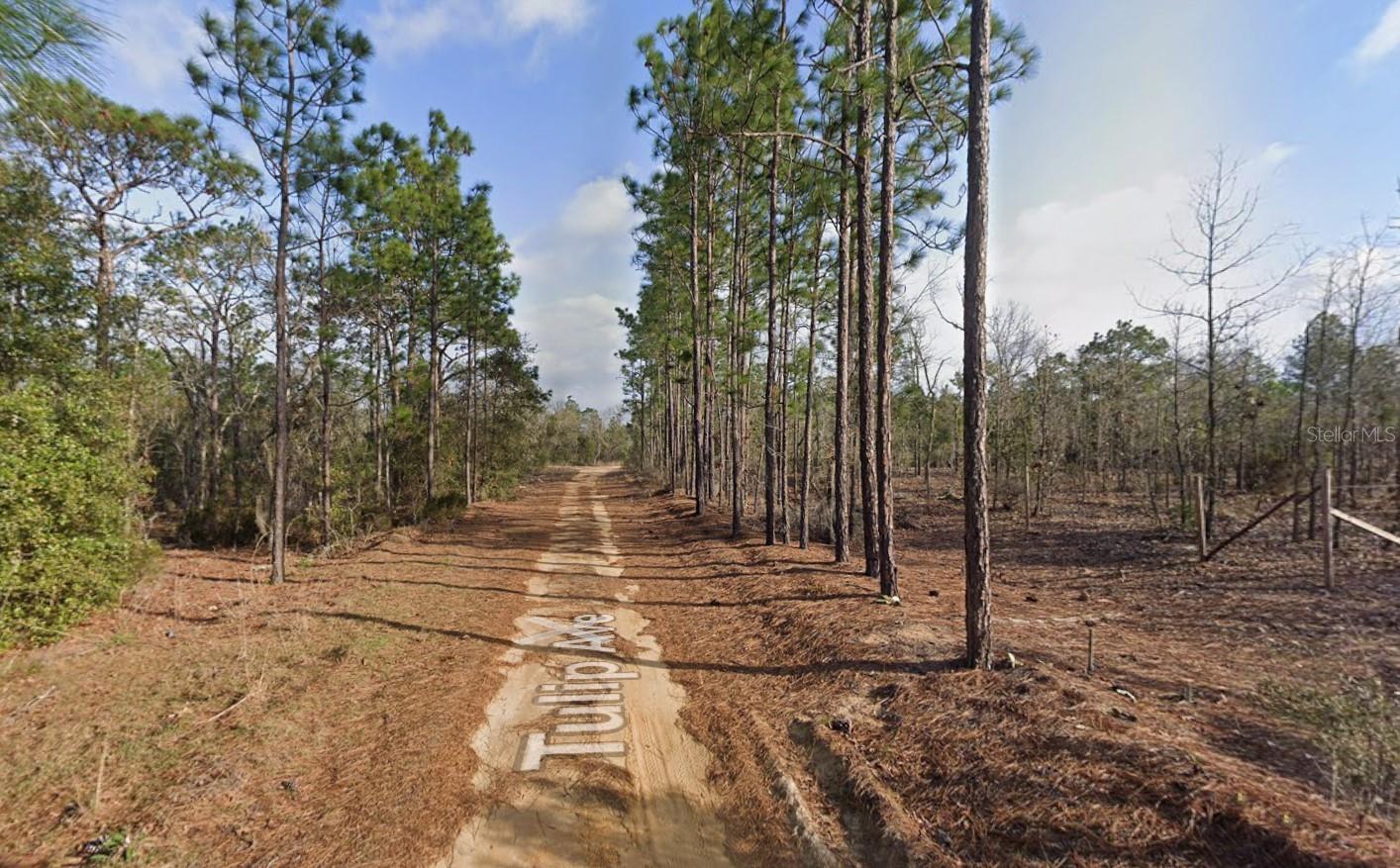 116 Tulip Avenue, FL