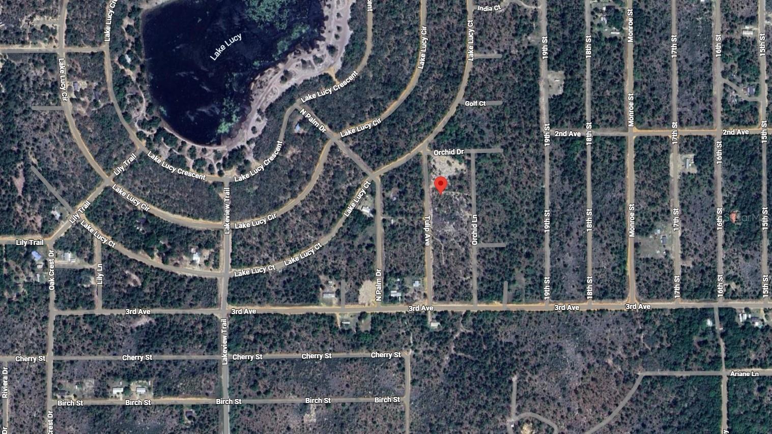 116 Tulip Avenue, FL
