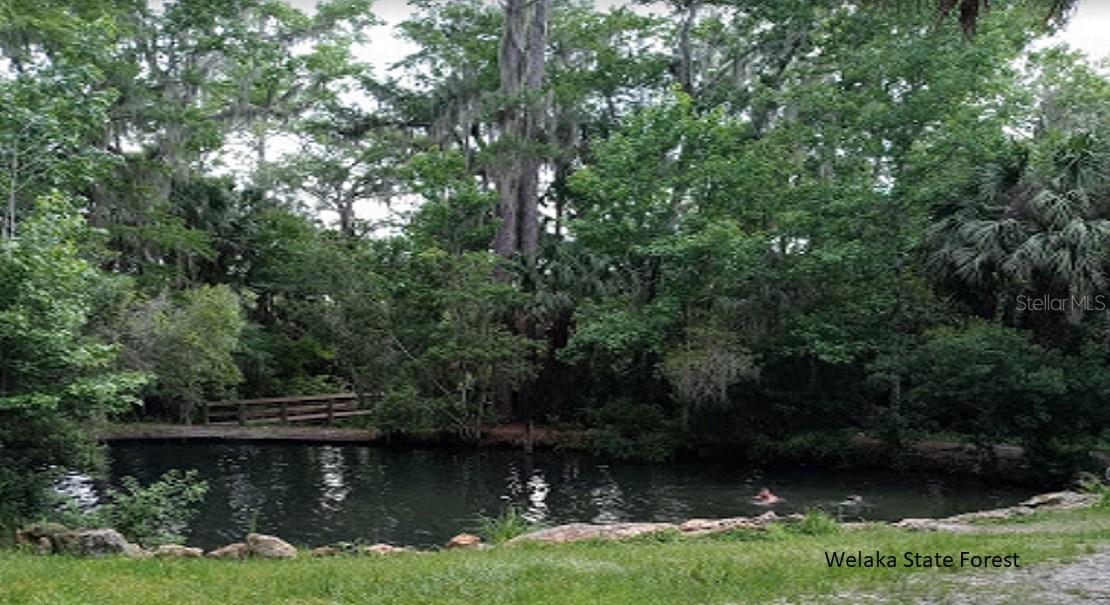 116 Tulip Avenue, FL