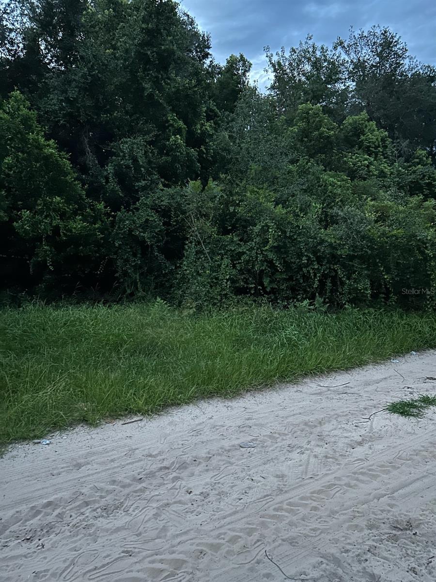135 Lane, FL