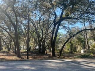 16222 Livingston Avenue, FL