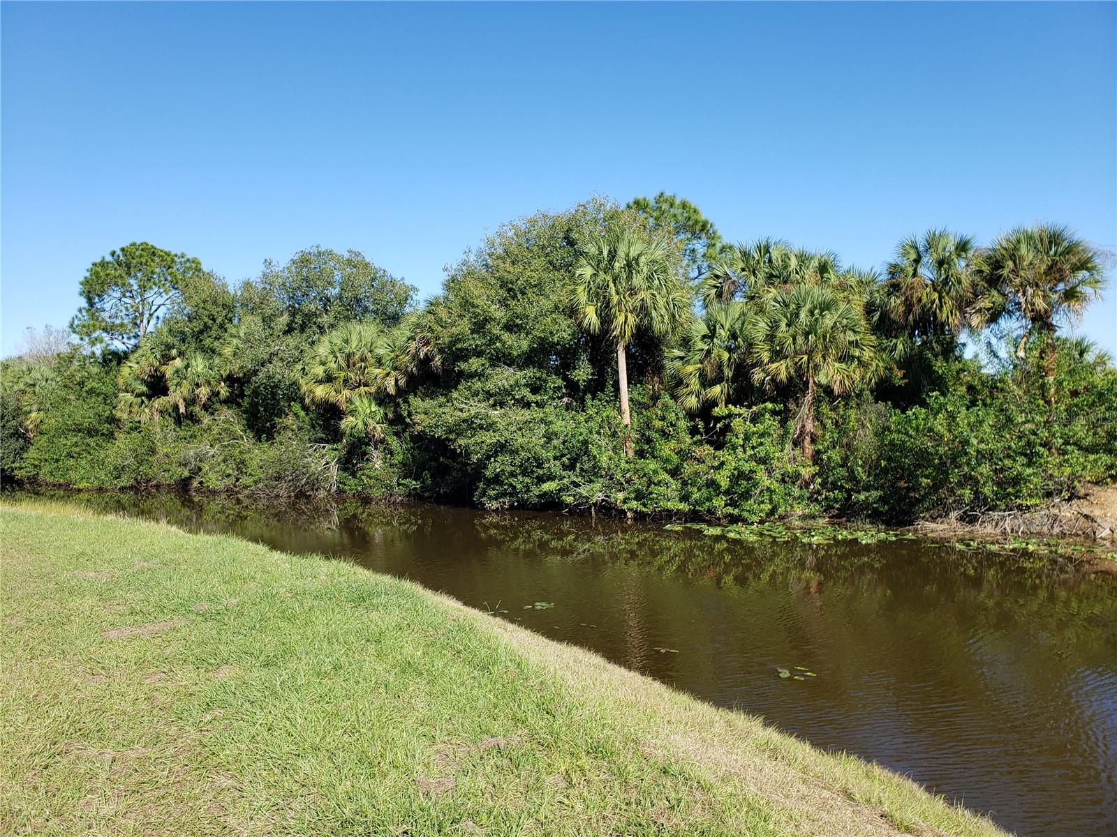 647 Naples, FL