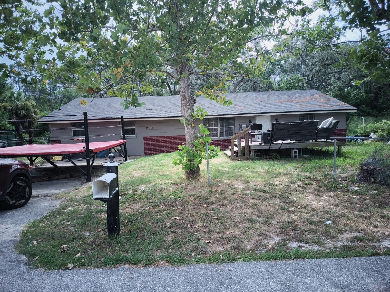 12218 Elkton Avenue, FL