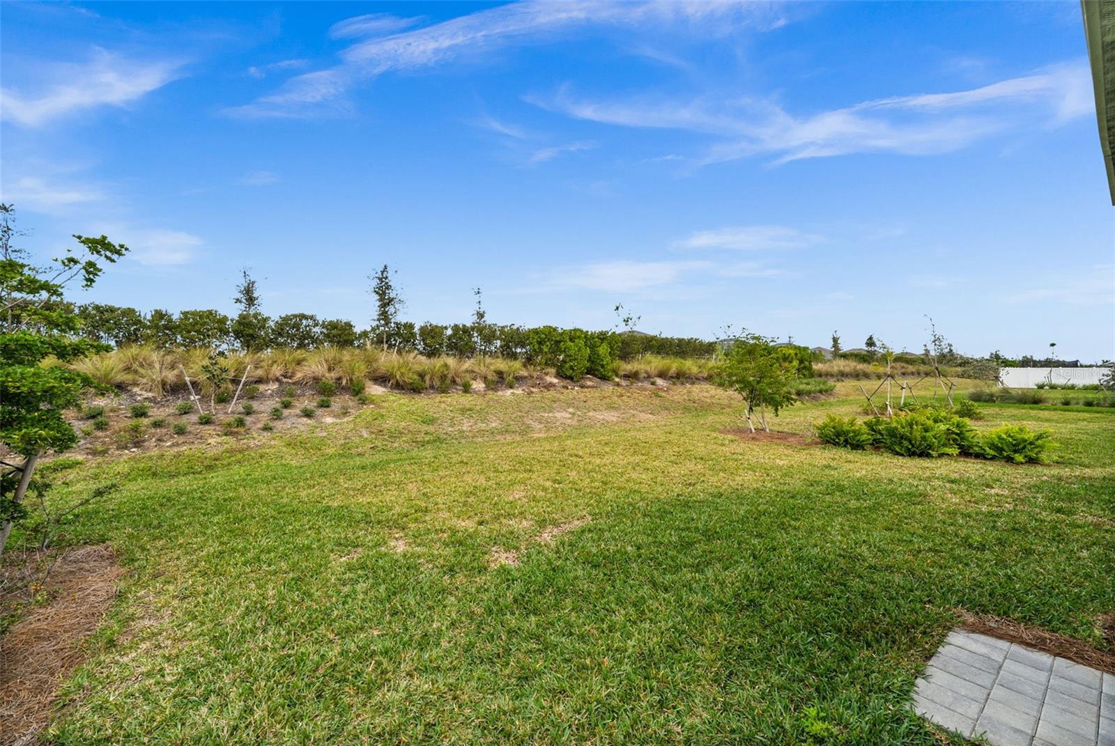 44259 Saddlewood Court, FL