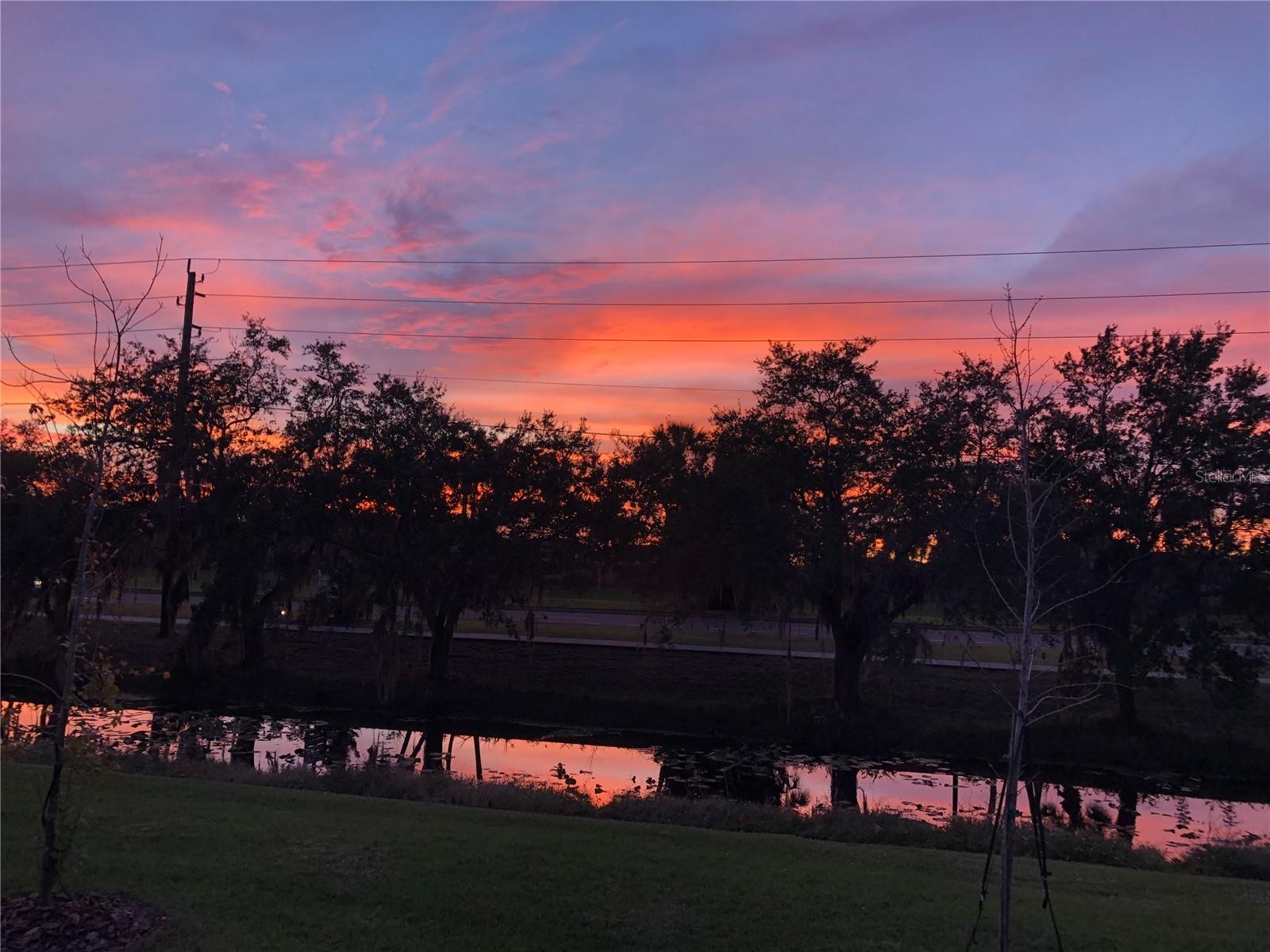 8637 Daydream Street, FL