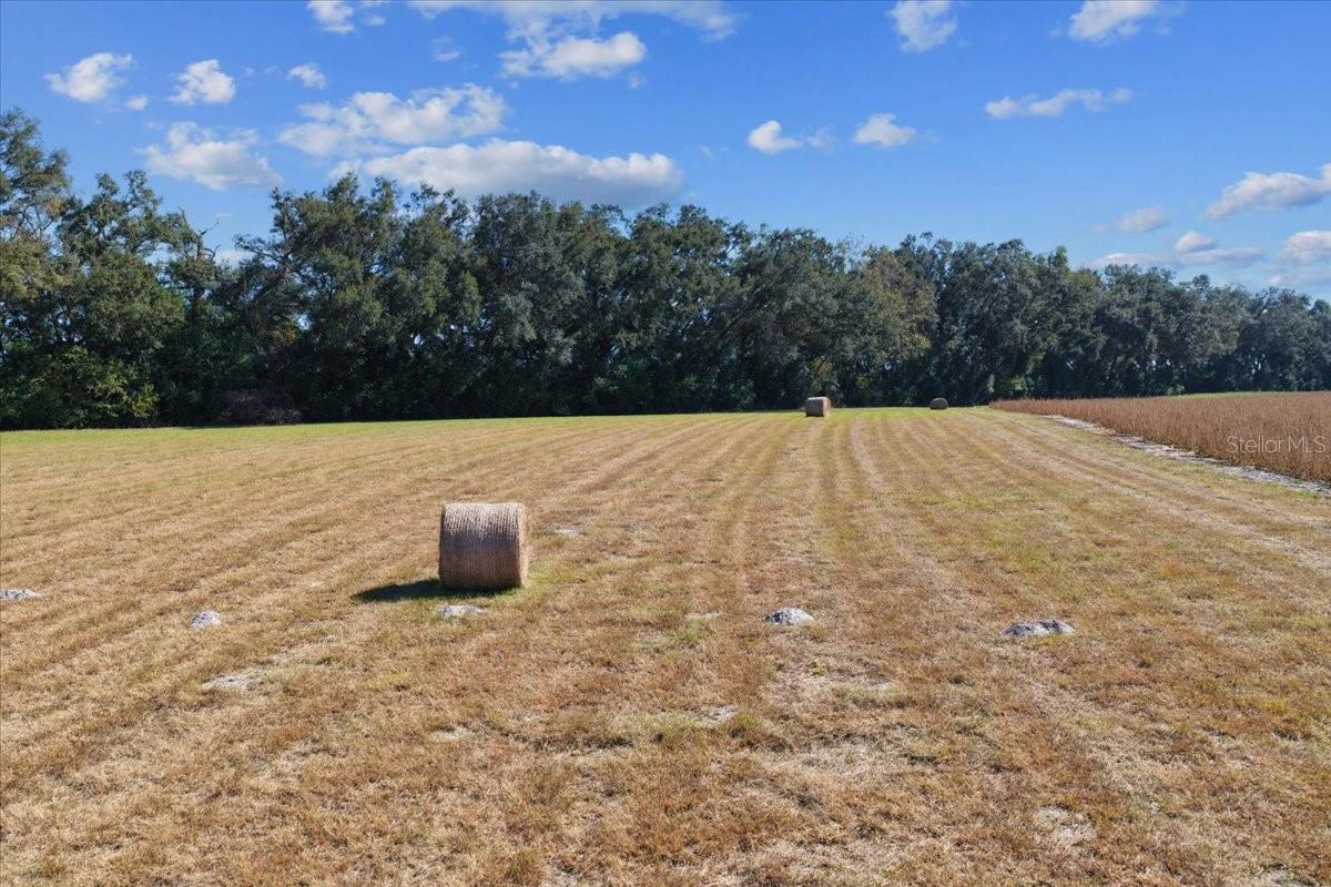 Tbd 150 Street, FL