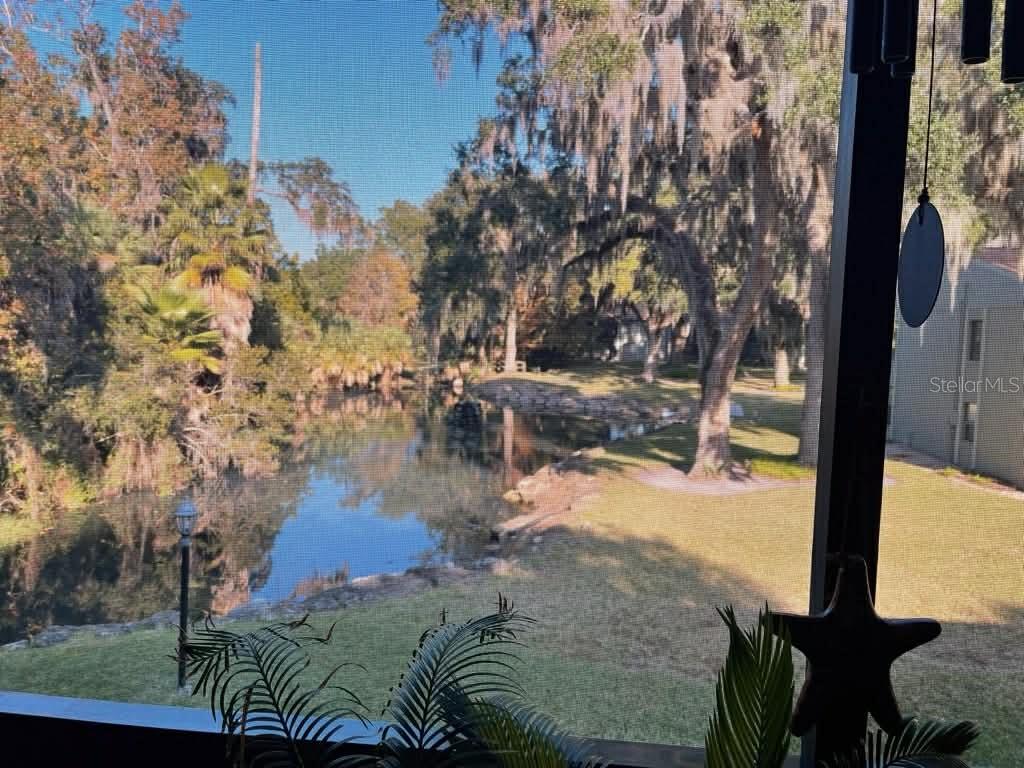 310 Palm Coast Parkway, FL
