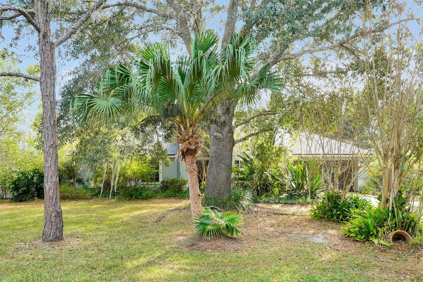 19814 Moorgate Street, FL