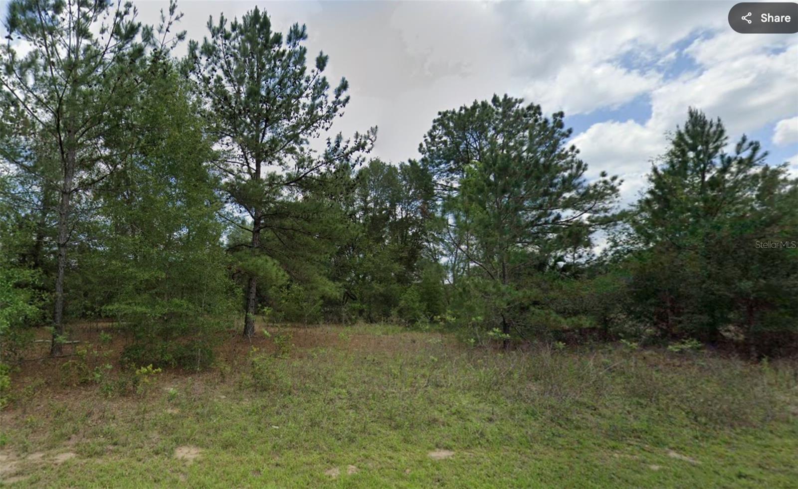 576 Abady Lane, FL