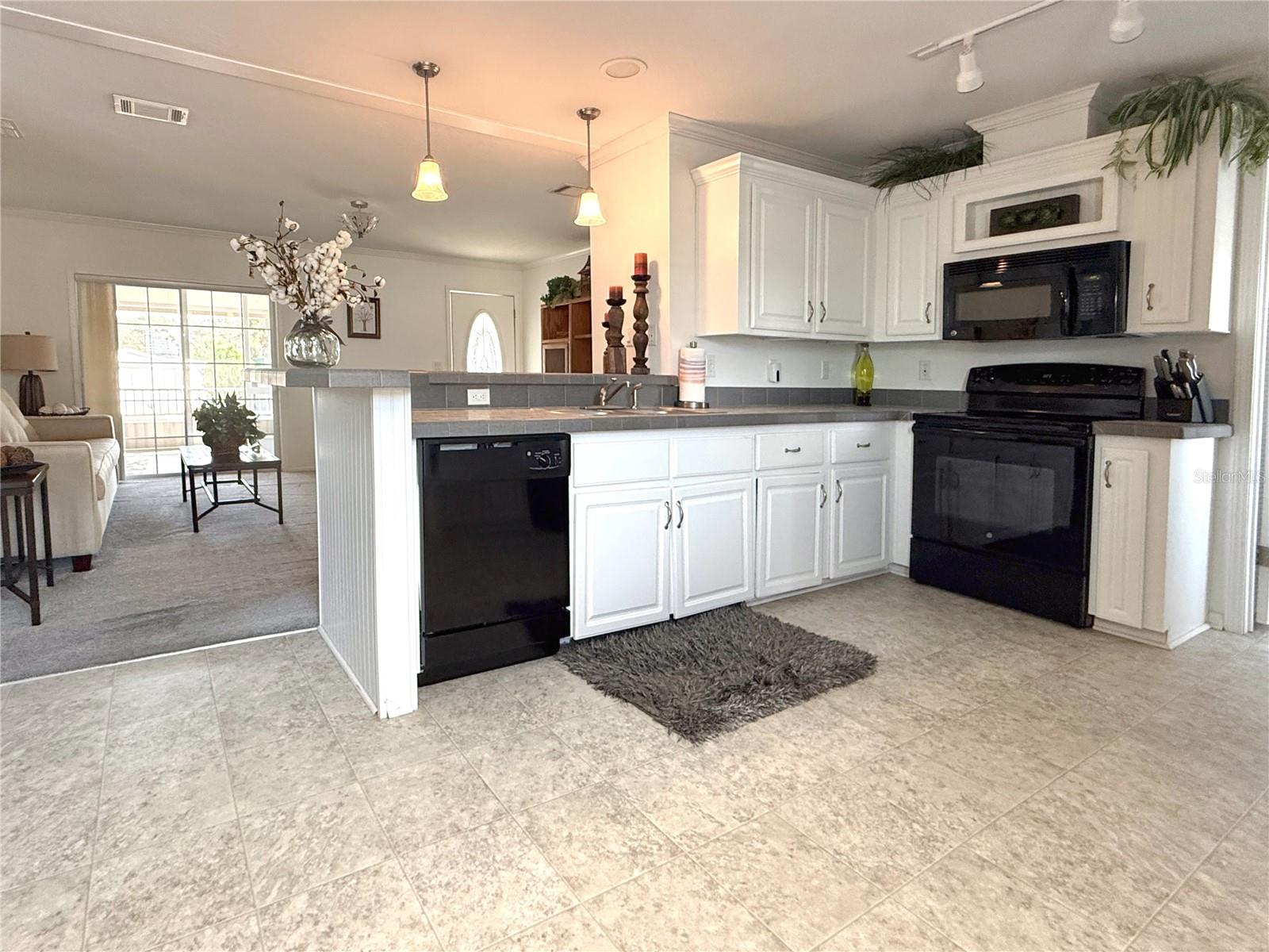 101 Saint Johns Way, FL