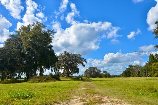 11750 22nd Ave Road, FL