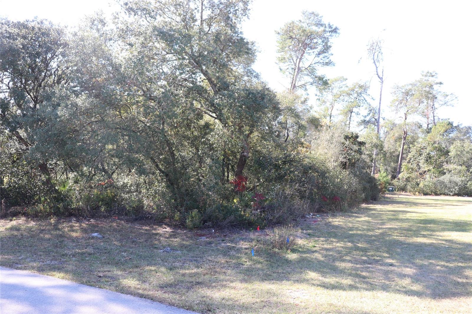Tbd 157th Street, FL